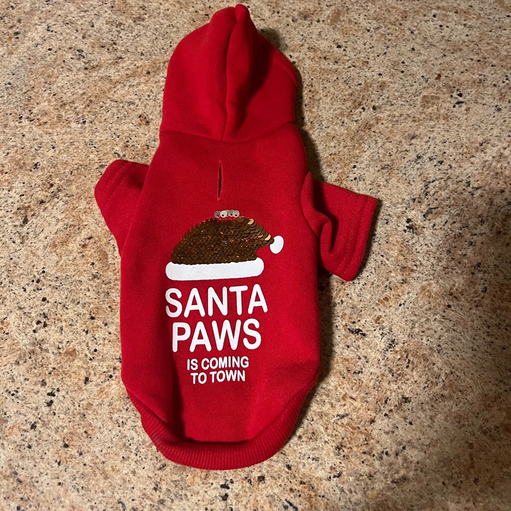 Dog Christmas Santa Paws Sweatshirt